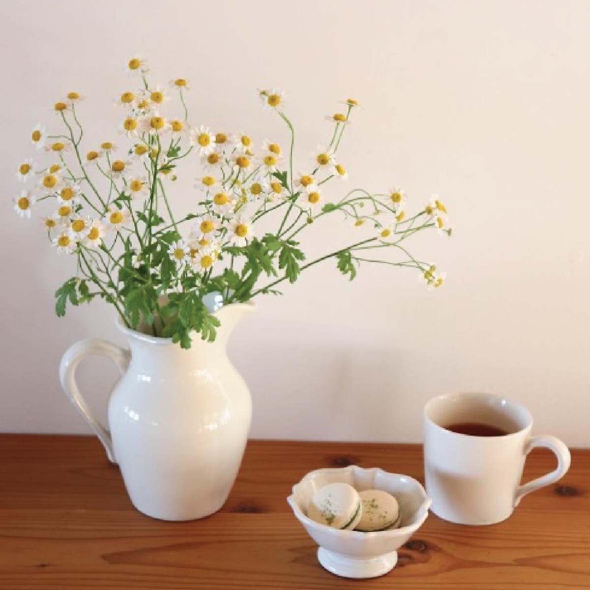 Ferme Vase / Pitcher — Whte