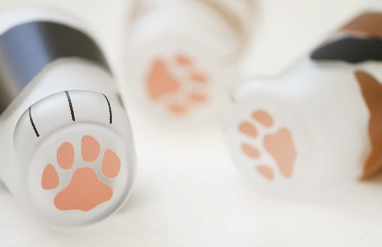 Calico Cat Paw Frosted Glass Cup Gift Set