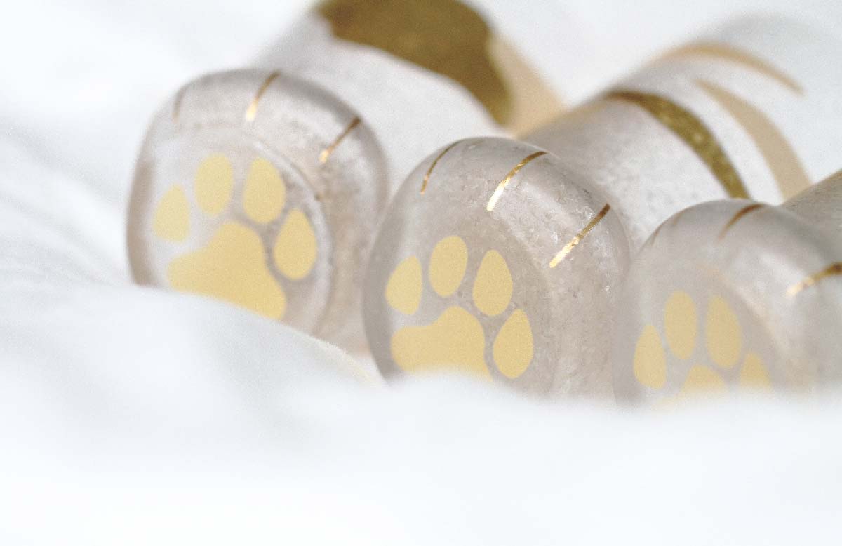 Cat Paw Premium Gold Glass Cup with Gift Box