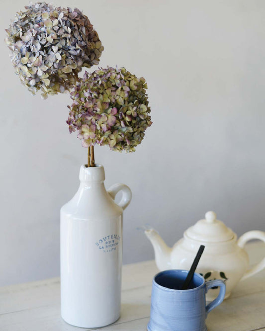 Bouteille Water Bottle / Vase
