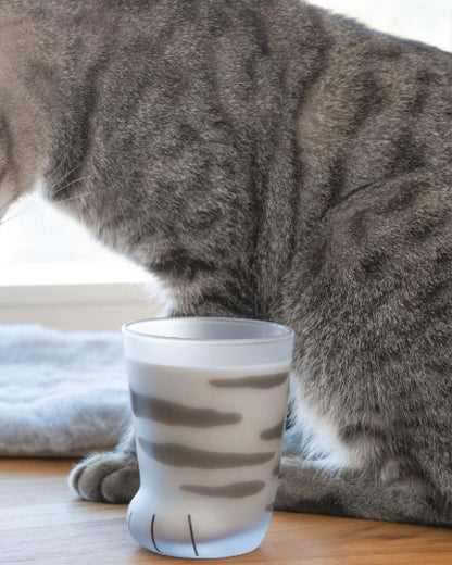 Grey Tabby Cat Paw Frosted Glass Cup