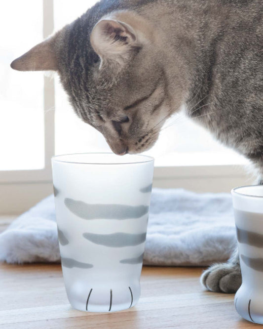 Grey Tabby Cat Paw Frosted Glass Cup