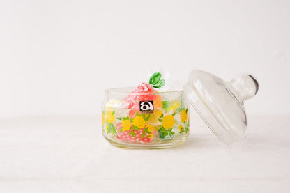 Aderia Retro Glass Canister – Rose