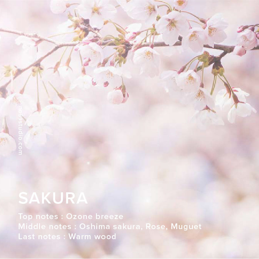 SAKURA - Home Fragrance Oil 100ml