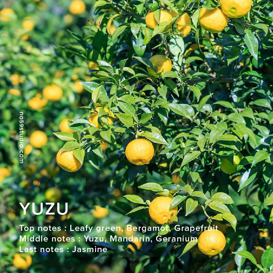 YUZU - Home Fragrance Oil 100ml
